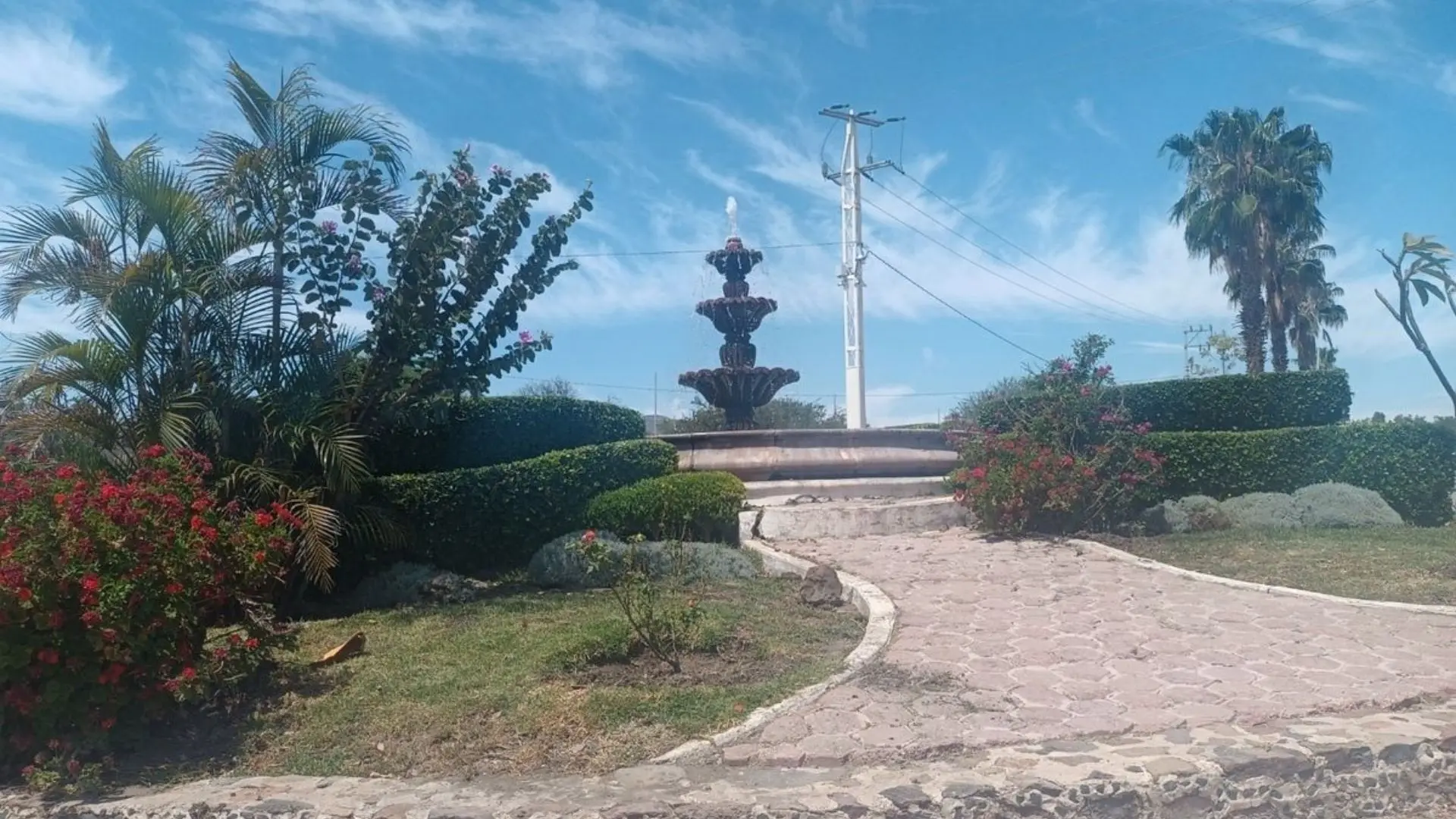 Miniatura 19